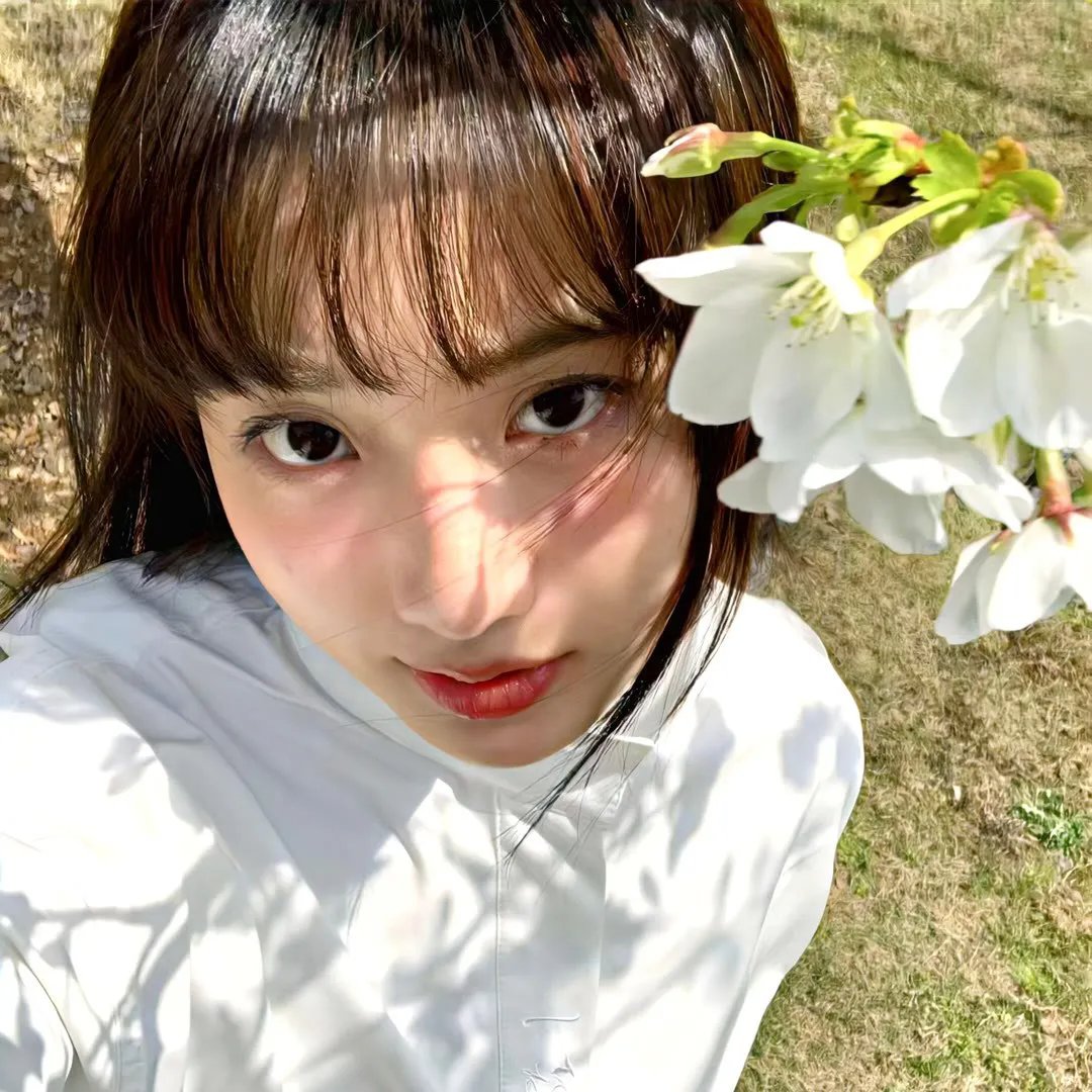 狐妖小红娘日语版 高清海报