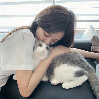 快乐结局 在线观看